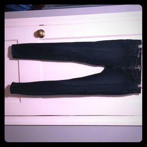 Ann Taylor Loft Denim